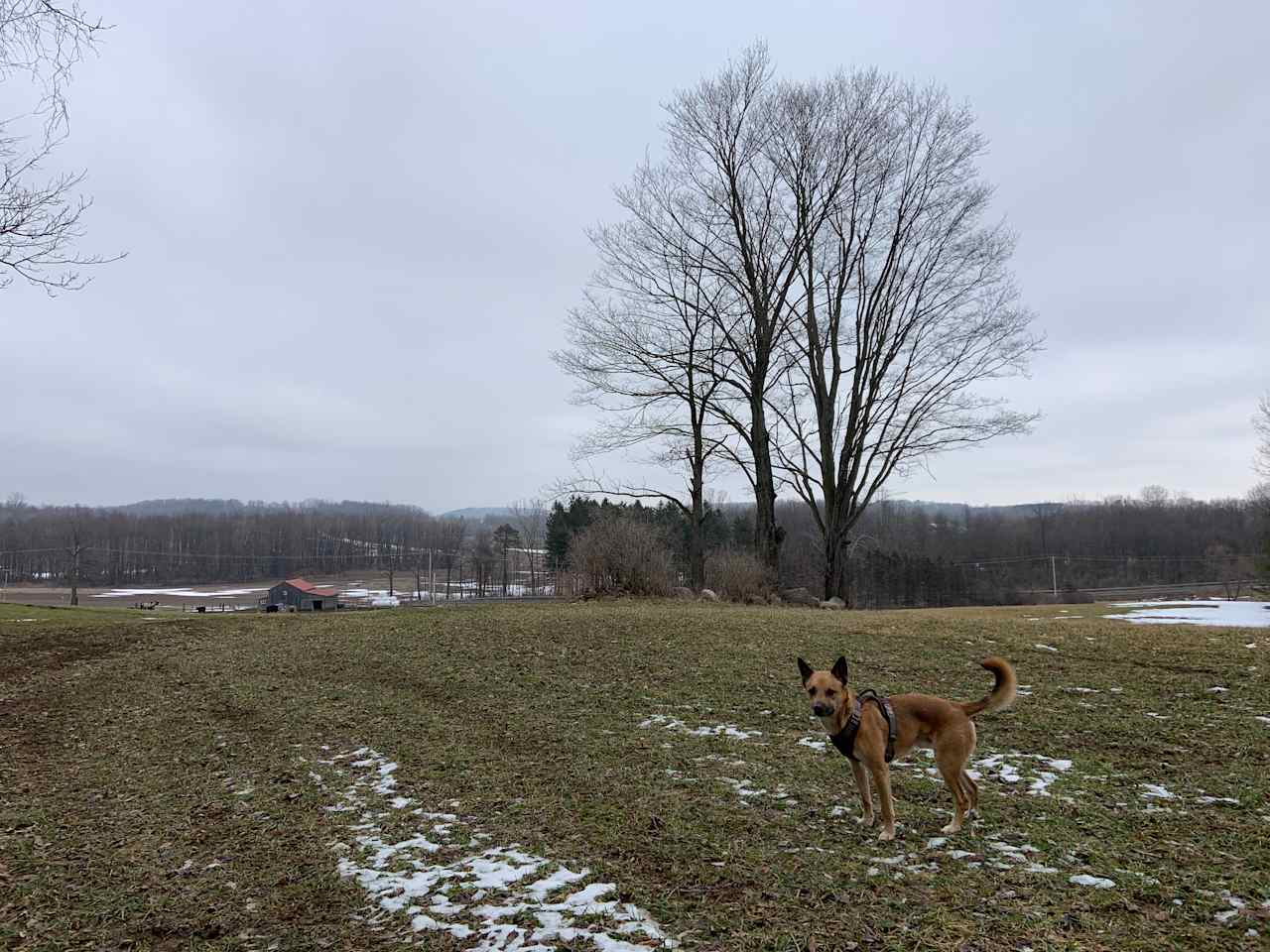 Spring lake retreat on the farm