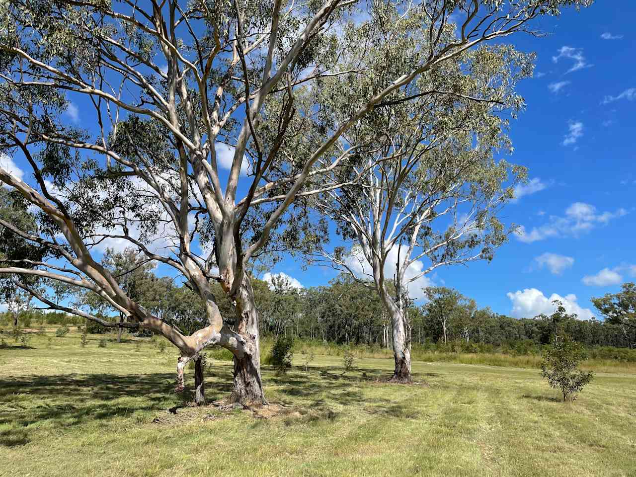 Suda Park (Walkers Paddock)