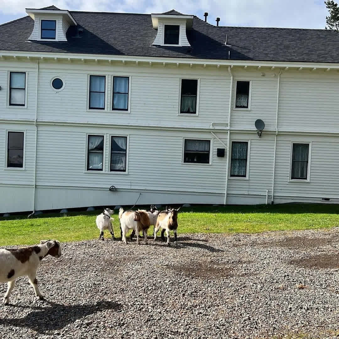 Historic Farm Humboldt Bay