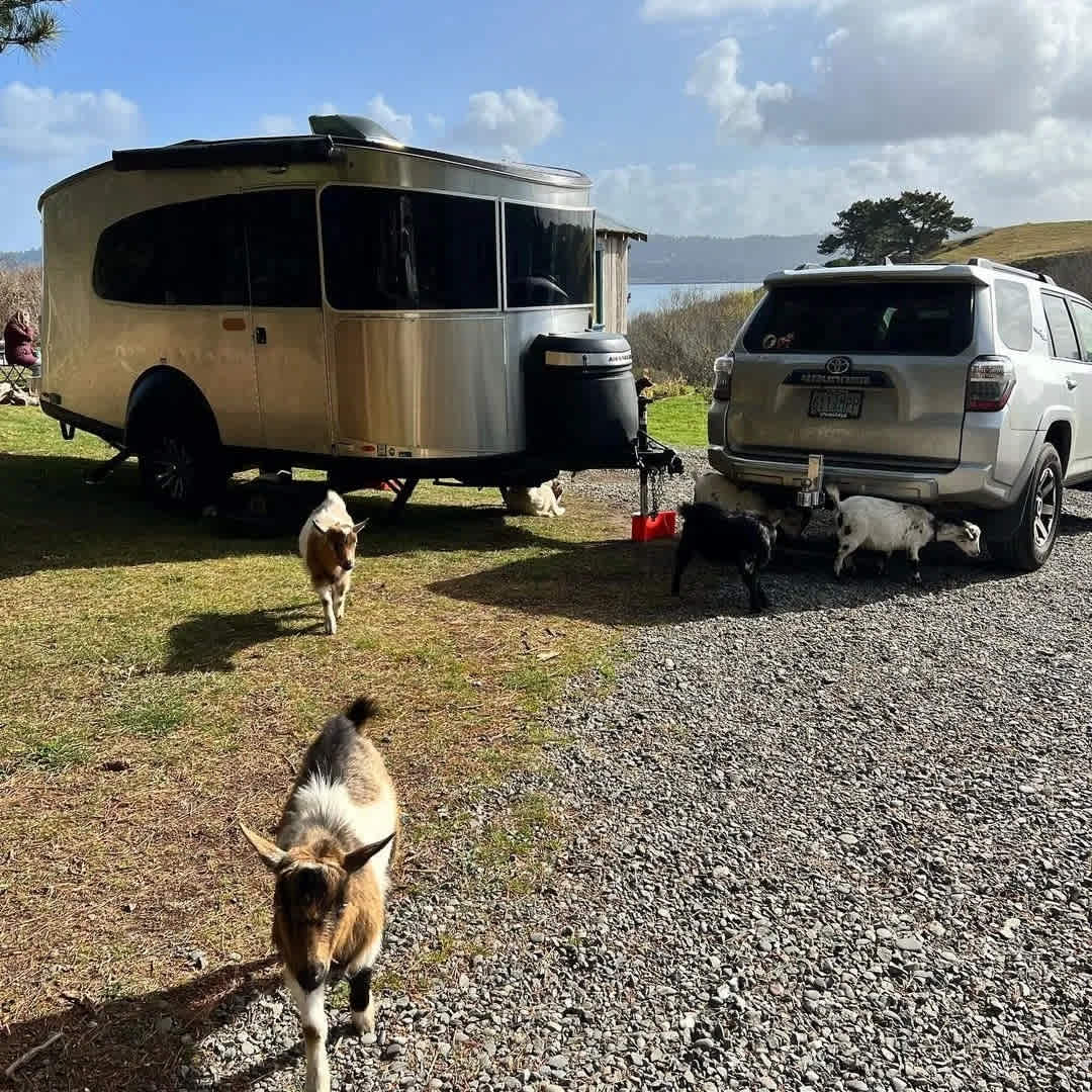 Historic Farm Humboldt Bay