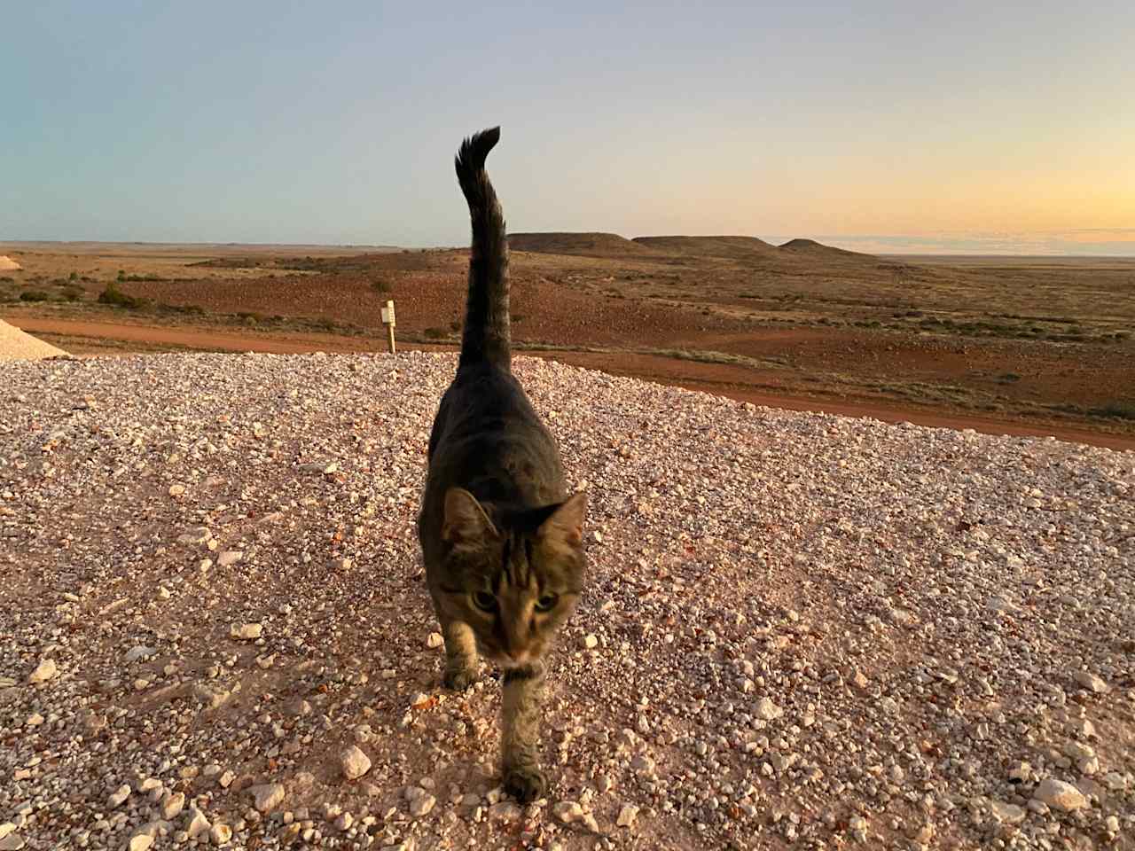 Coober Pedy Views