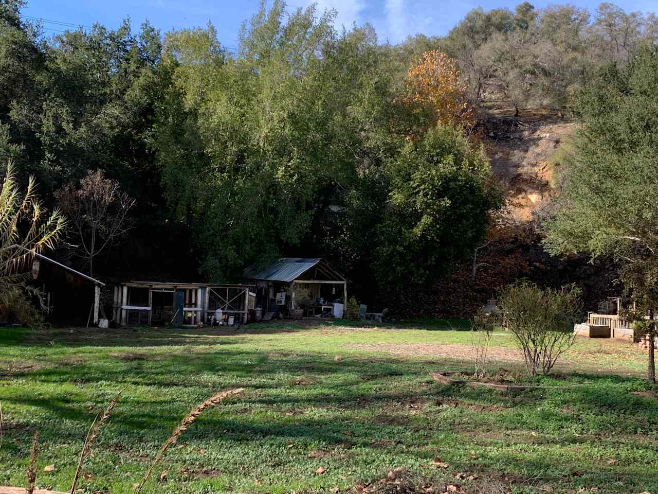 Original Bunkhouse & Barn!