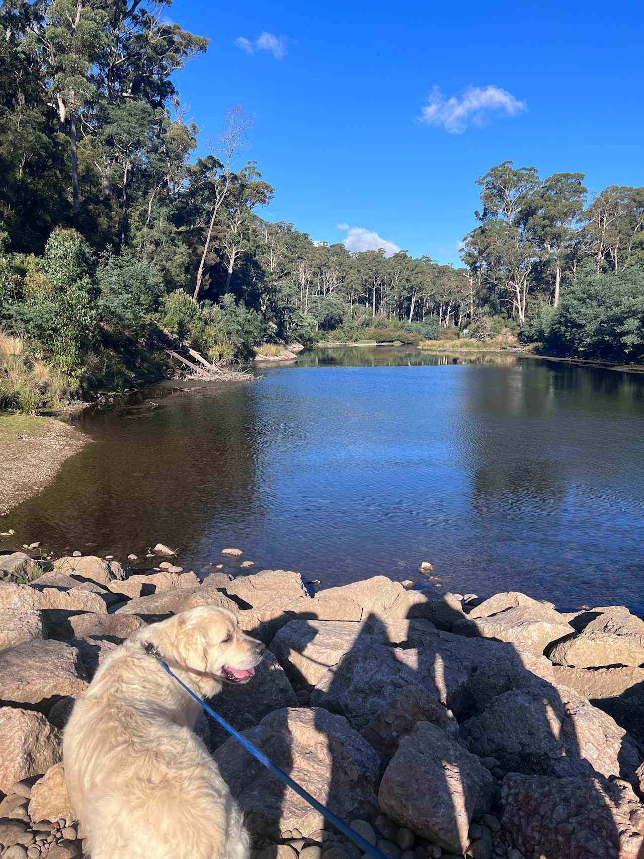 Mersey River