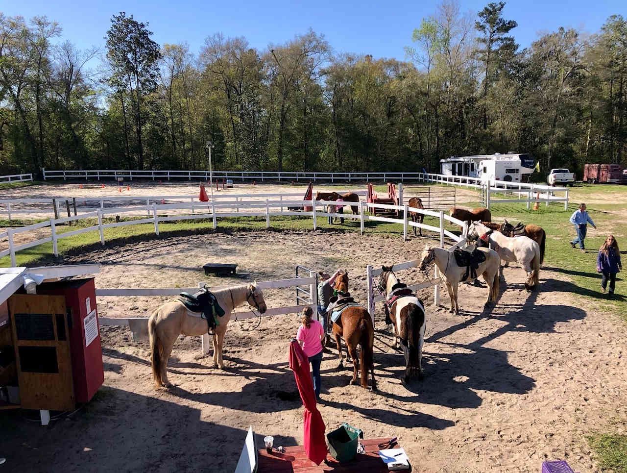 Crazy 8 Ranch & 4 Steps Horse Rescue