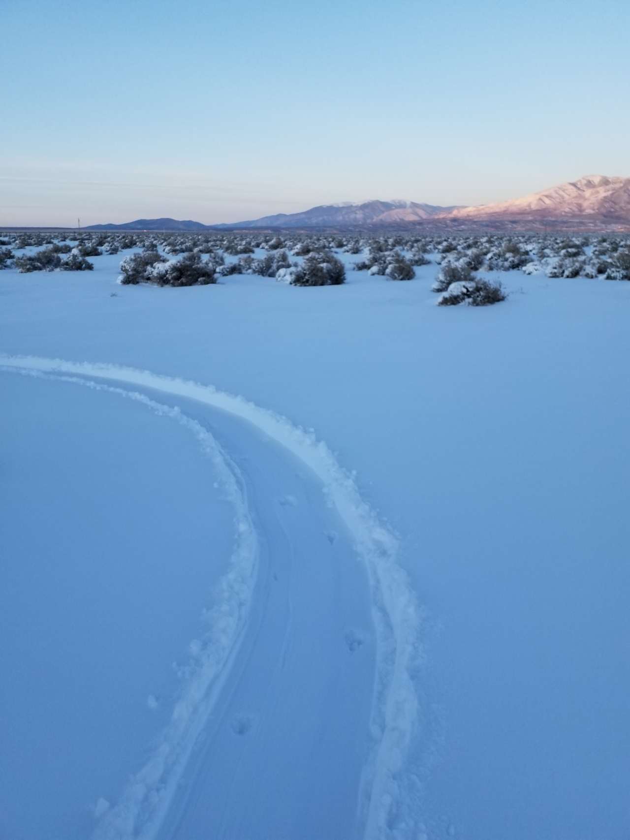 Snow-covered wonderland 