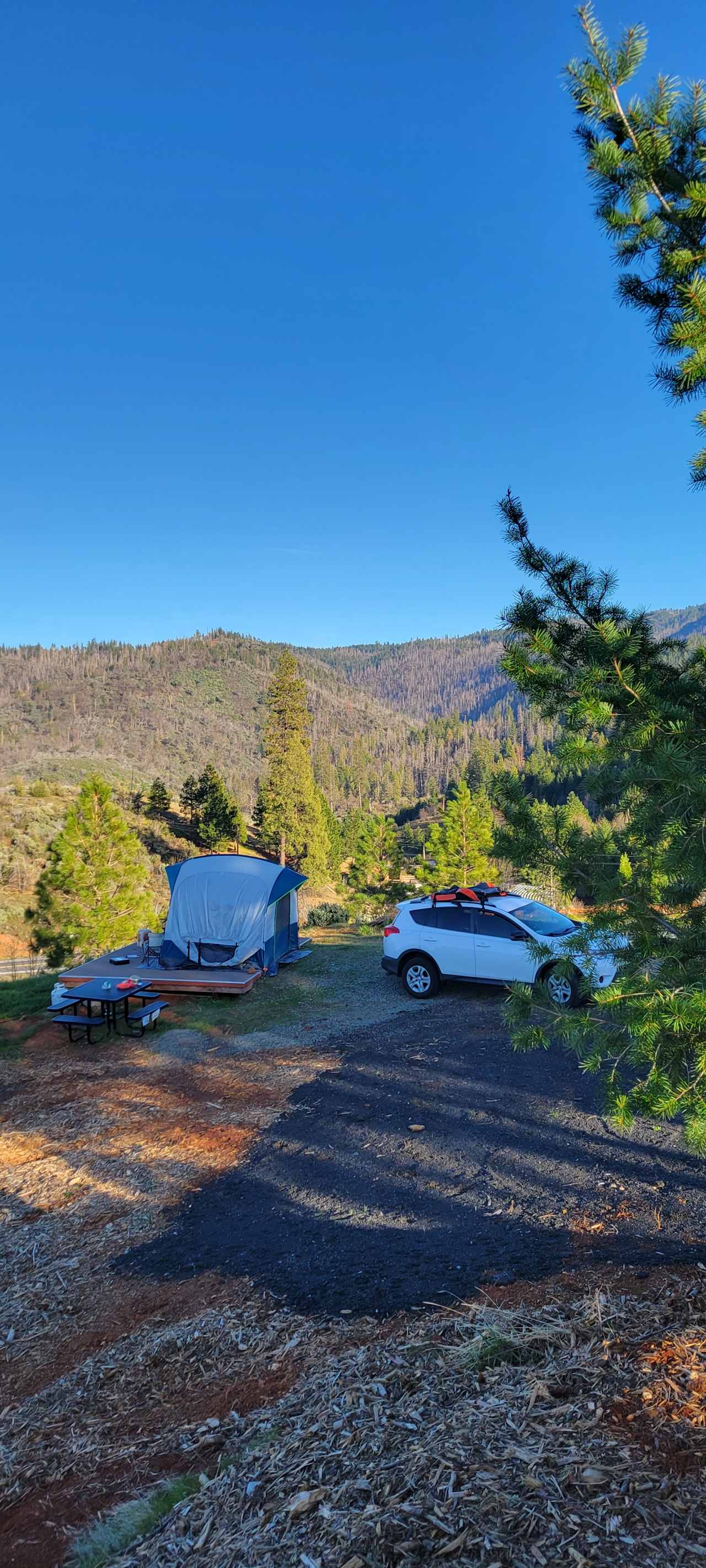 Yosemite Colfax Spring