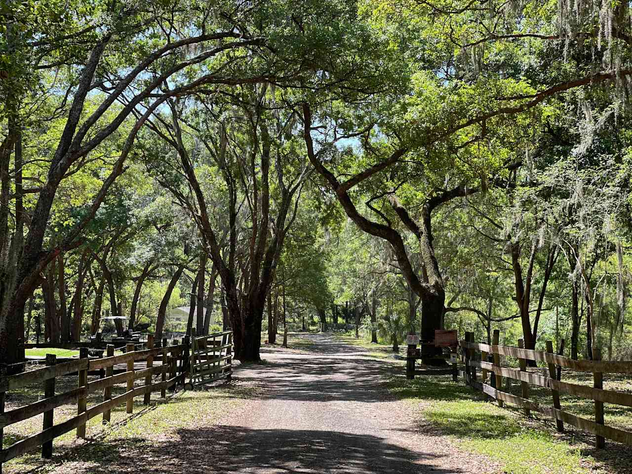 Myrtle Oaks