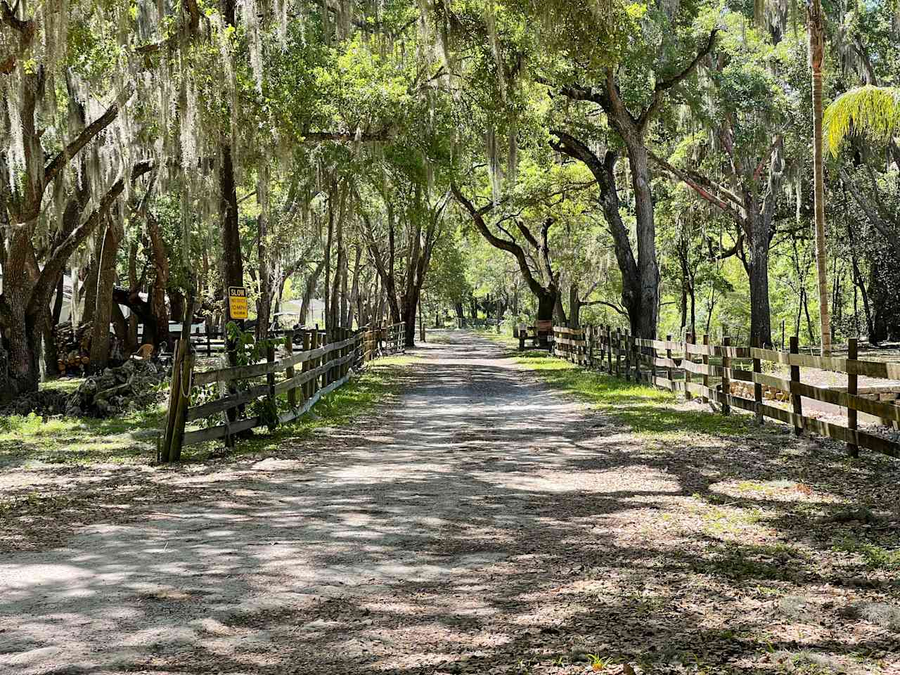 Myrtle Oaks