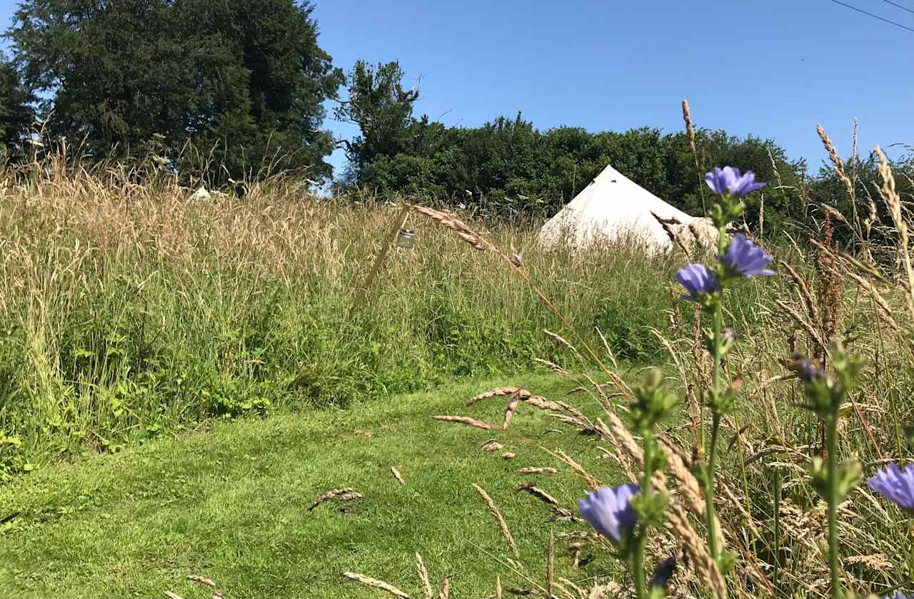 Hengrave Meadow Glamping