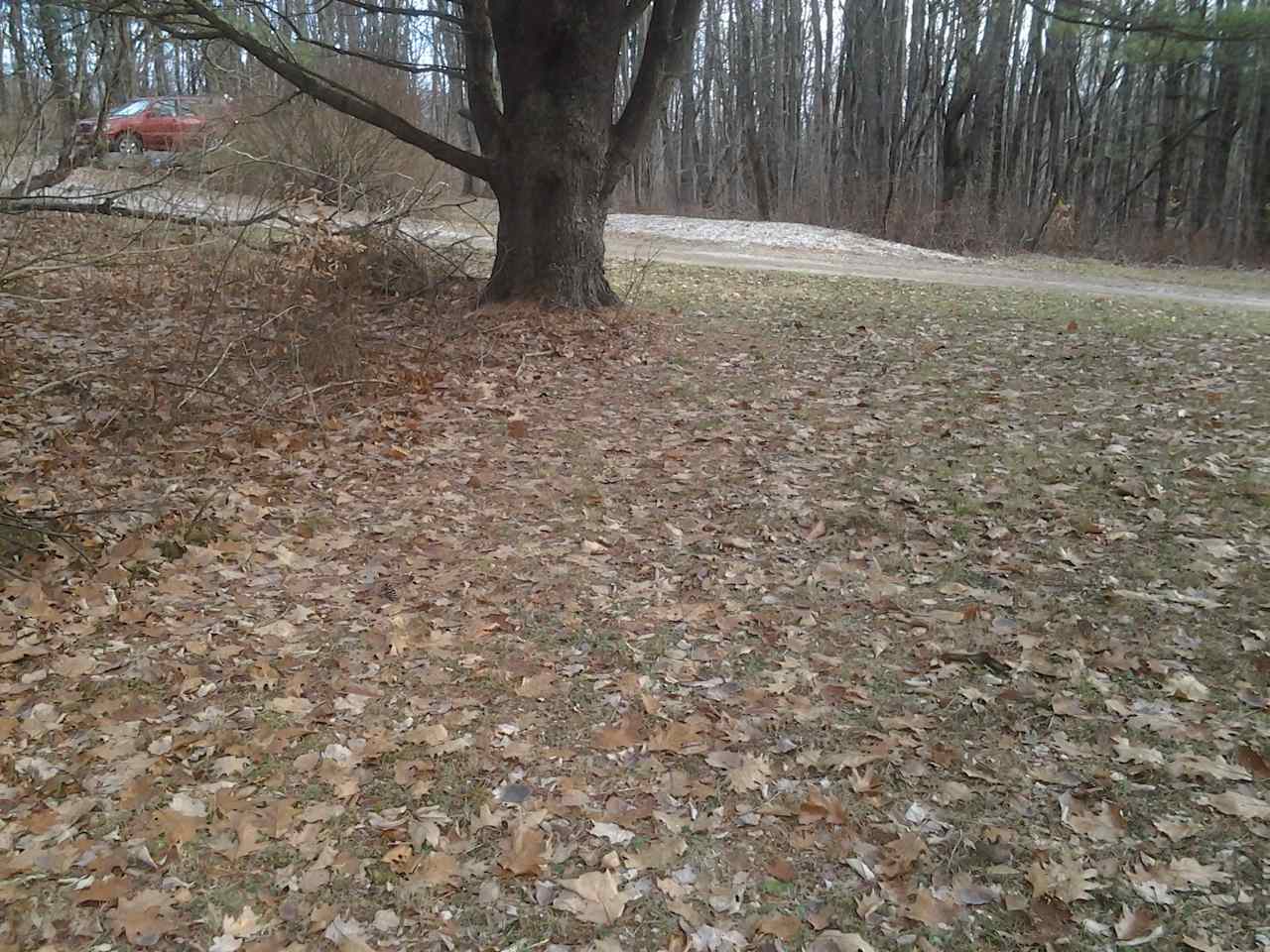 Beautiful and Private Berkshire Escape - Photo 2