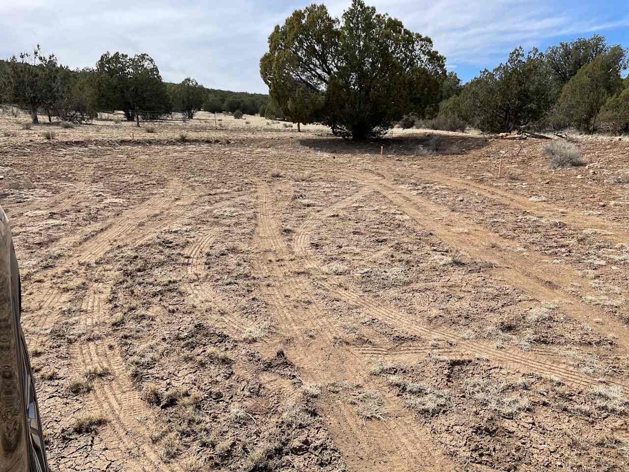 Camping near Seligman, AZ!