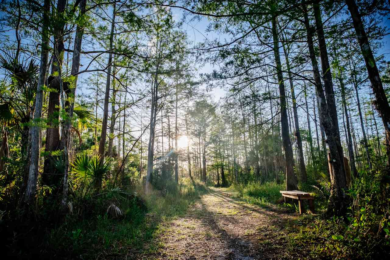 Nearby hiking trails at State Park