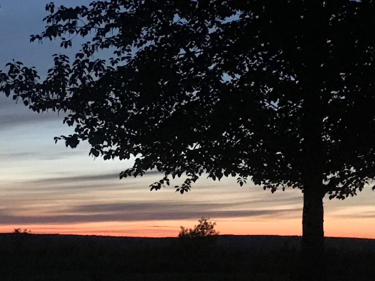 There's always a gentle breeze under the shade of the twin Cottonwood trees.