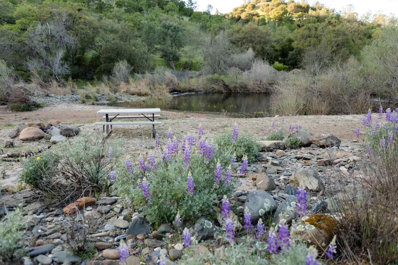 Site 2