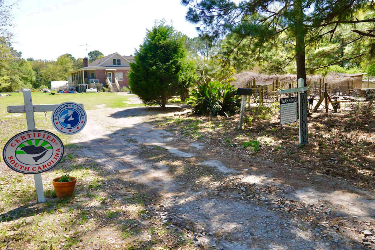 Entrance to main property and site 2. Continue up road, a short walk, from site 1.