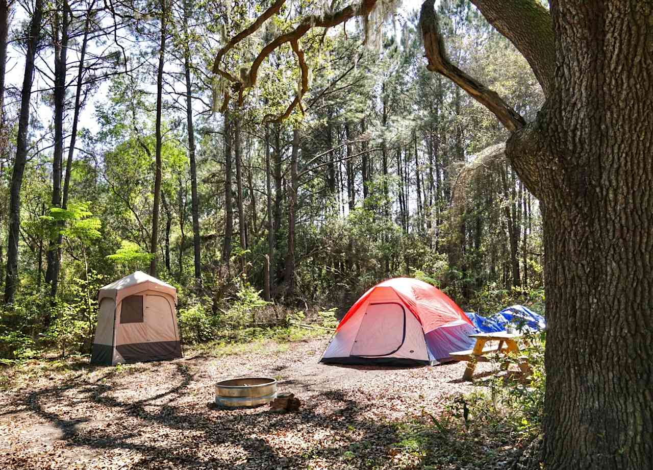 Camping in Savannah GA US 12 Best Campgrounds 2024 Hipcamp