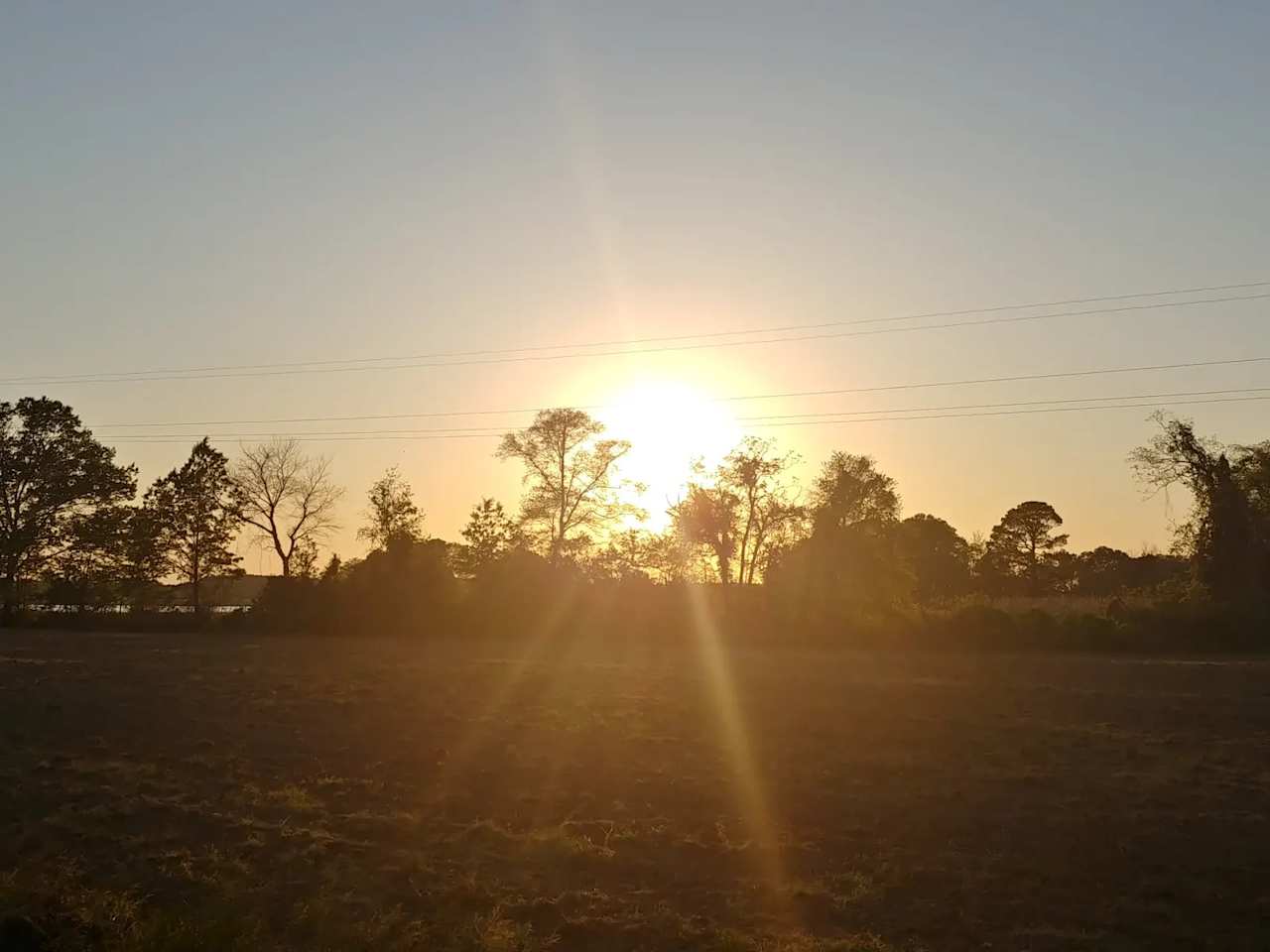 Blackwater Snakehead Campsite