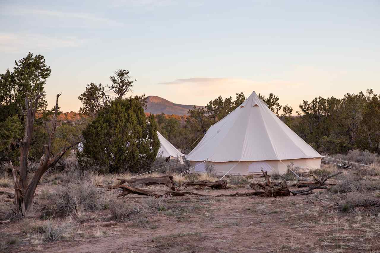 It's a new day at Grand Canyon Wander Camp!