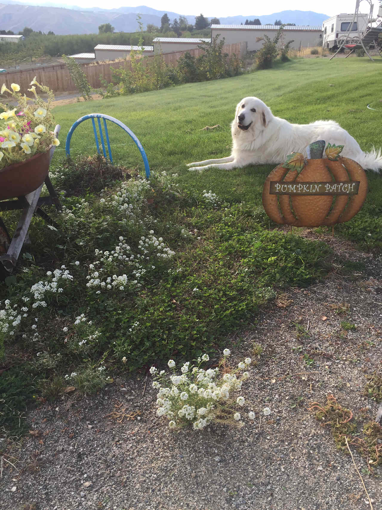 The Pyr Lookout