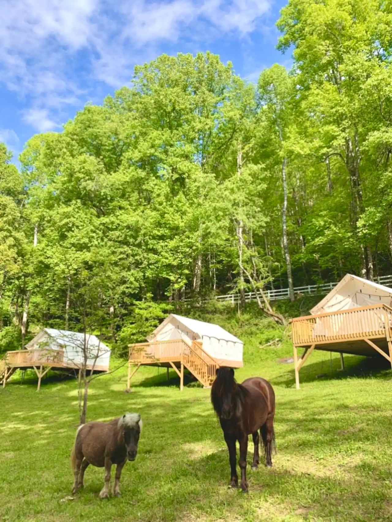 Nurture + Nature - Glamping Retreat