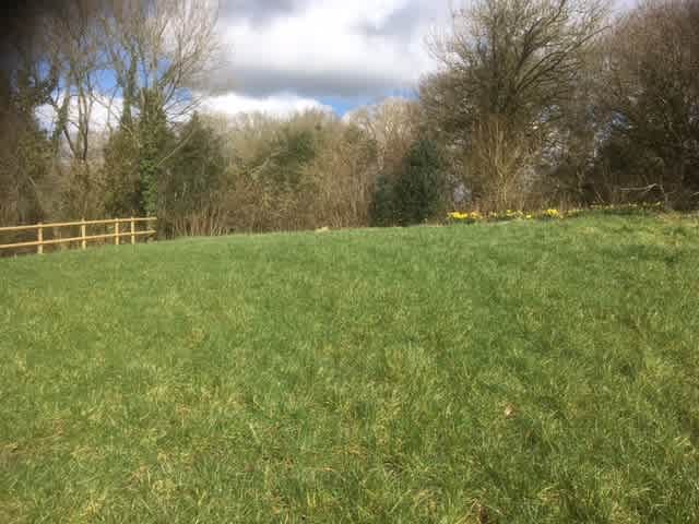 Lower Marlpits Farm Campsite