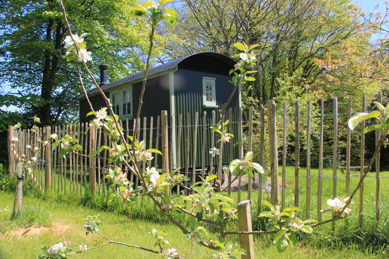 Farmer Oaks Hut