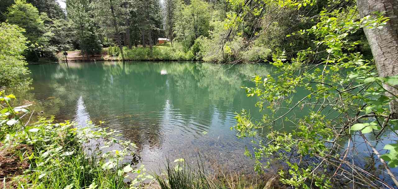 Peter's Forest Vacation Rentals