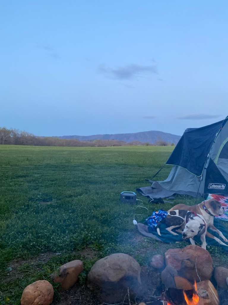 Lower Ocoee Riverside Campsite