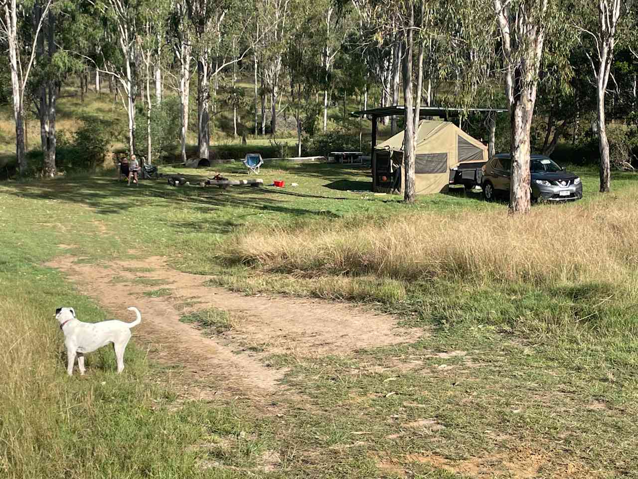 Sandy Creek Camping