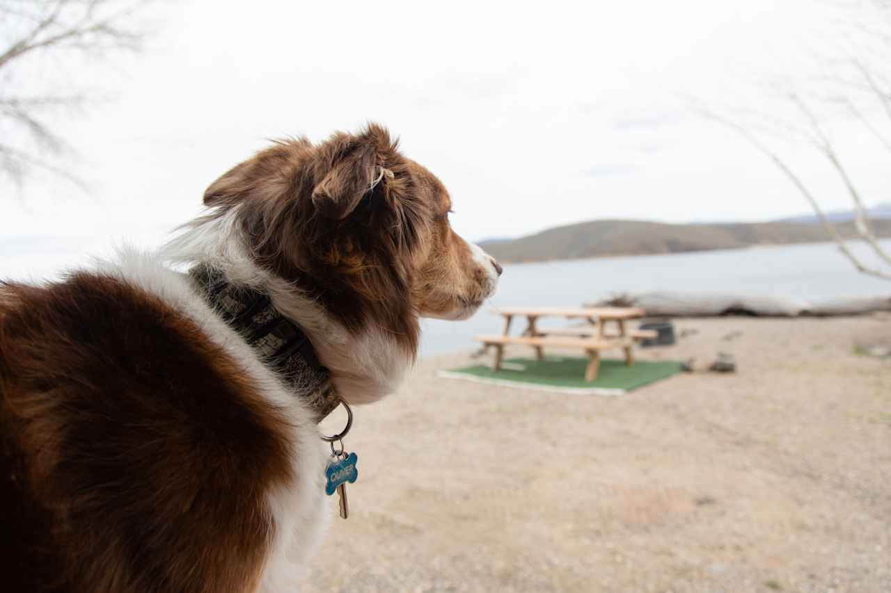 Water front on Topaz Lake