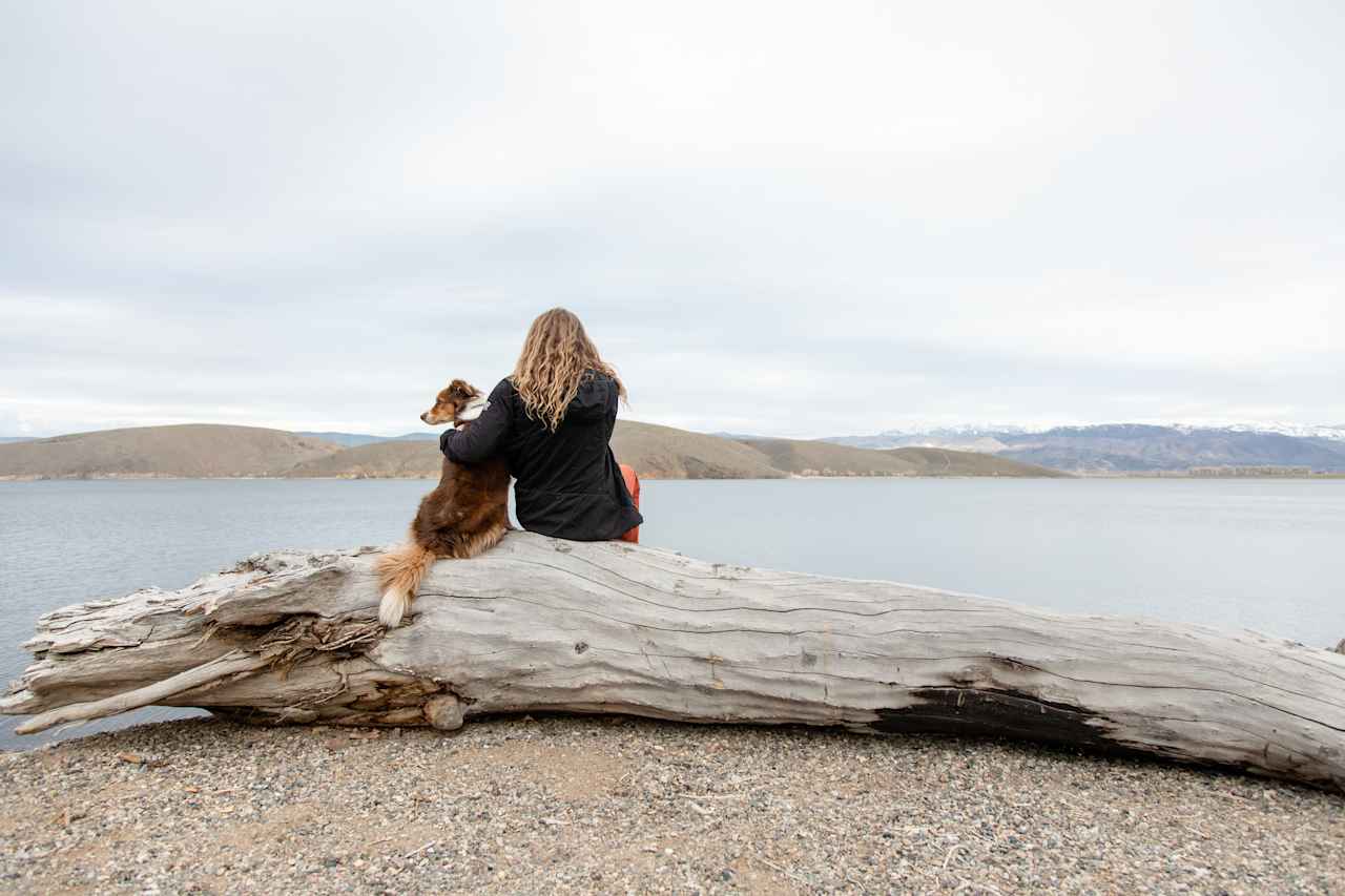 Water front on Topaz Lake