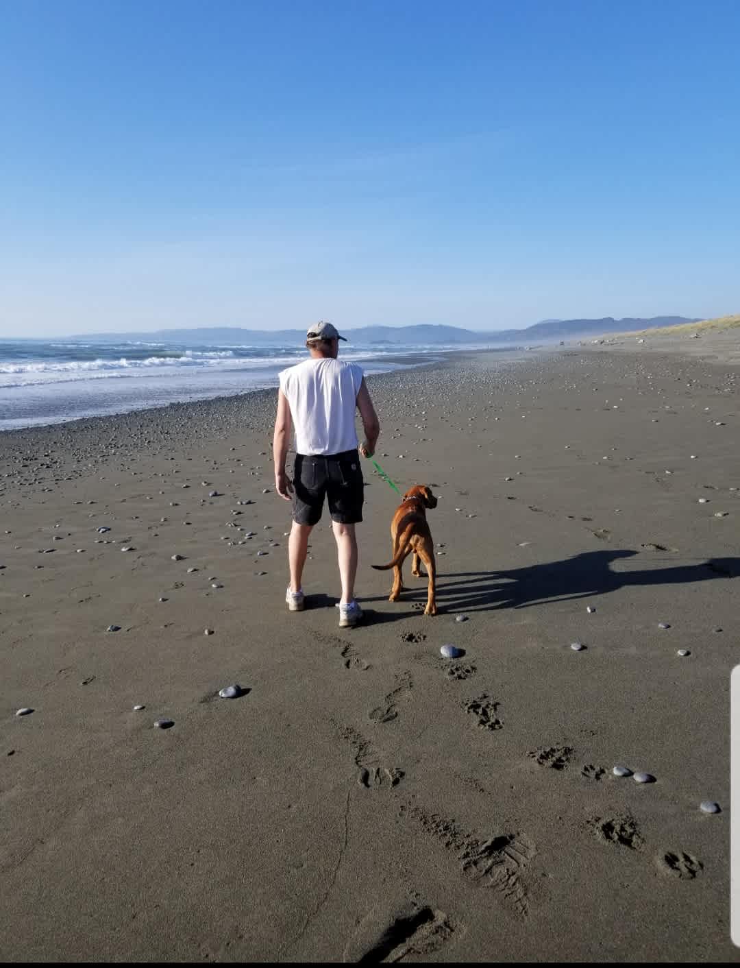 Kellogg Beach is near our farm.  (Tolowa Dunes Sate Park)