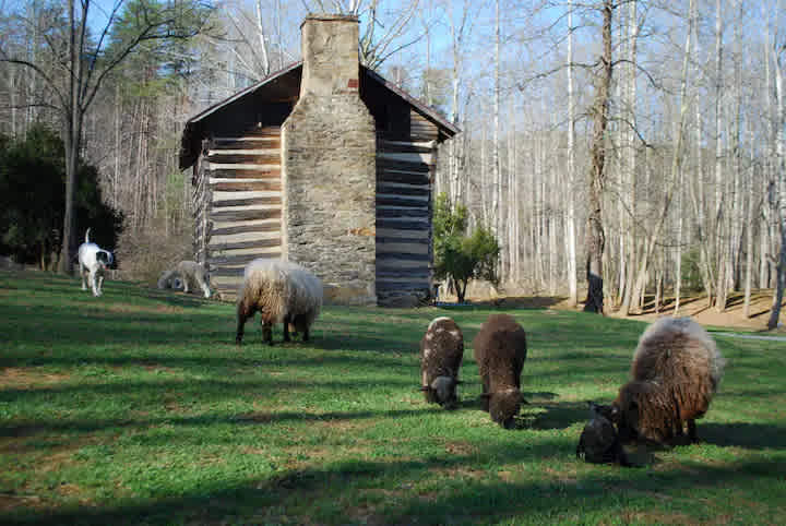 Our 1850 log cabin will eventually be restored for guest accommodations. 