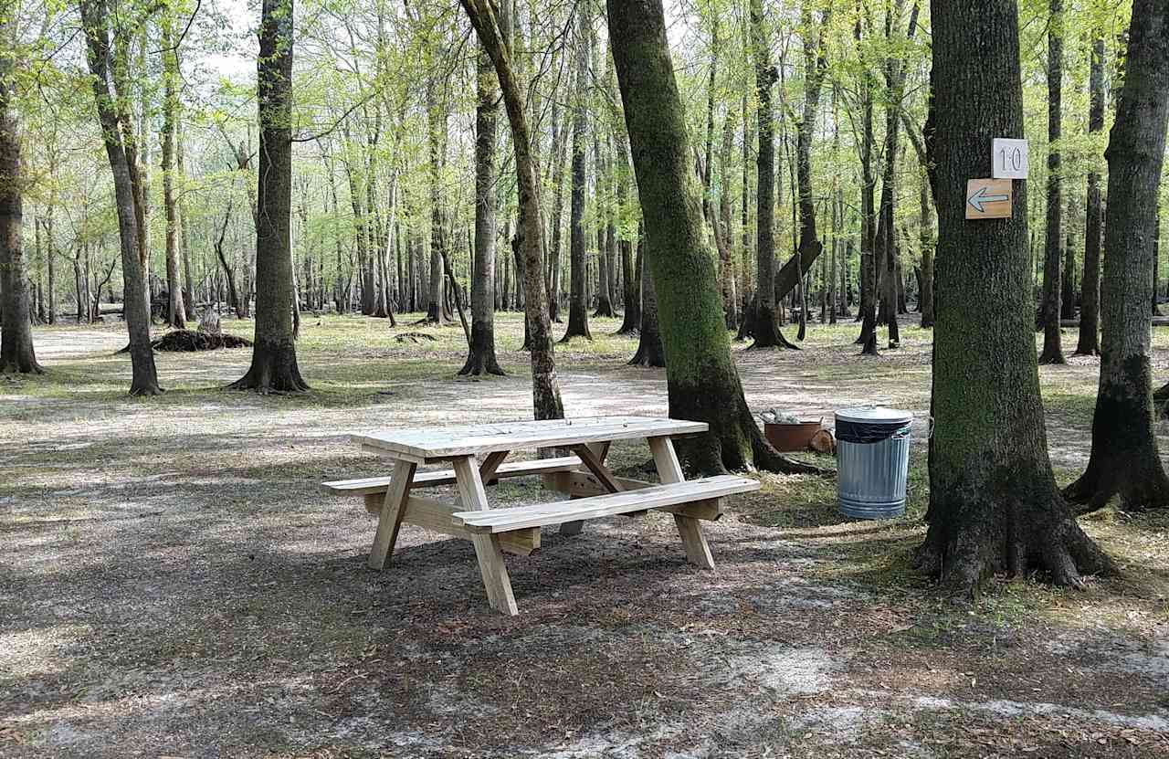Black River Camping Ventures