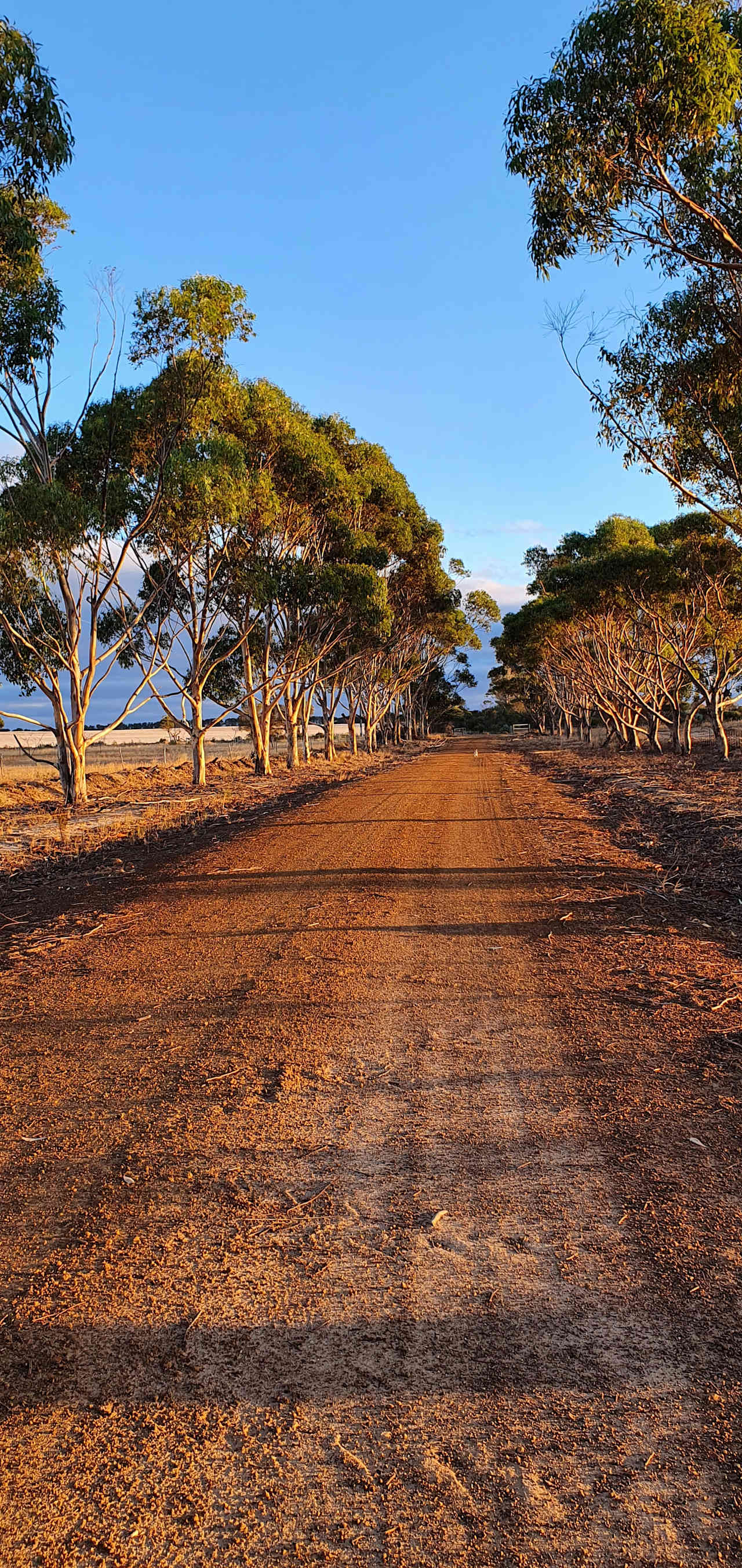 Entrance driveway