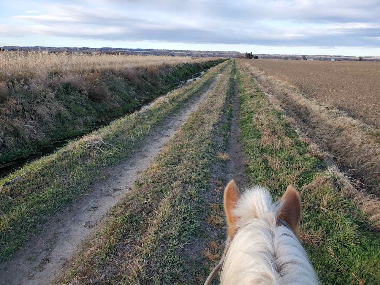 Walking/riding the ditch roads.