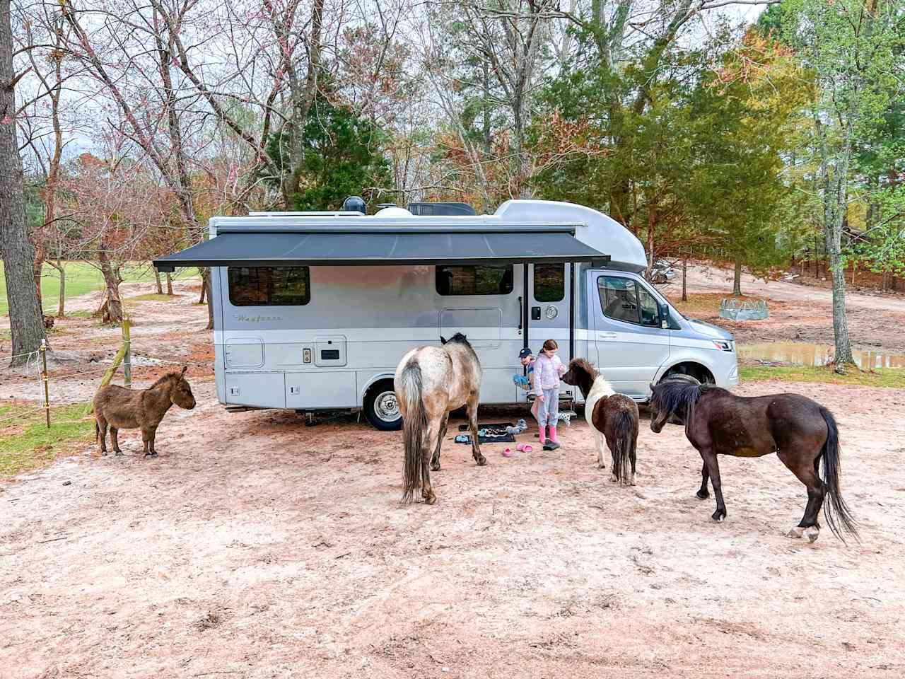 Silk Purse Farm RV