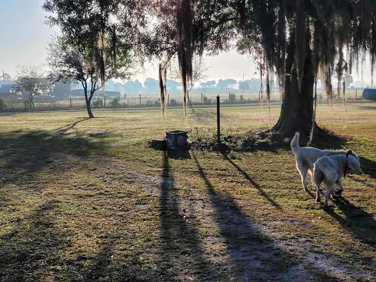 Sunrise from the other side of the farm