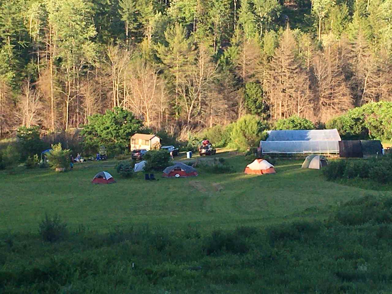 Beaver Pond Site