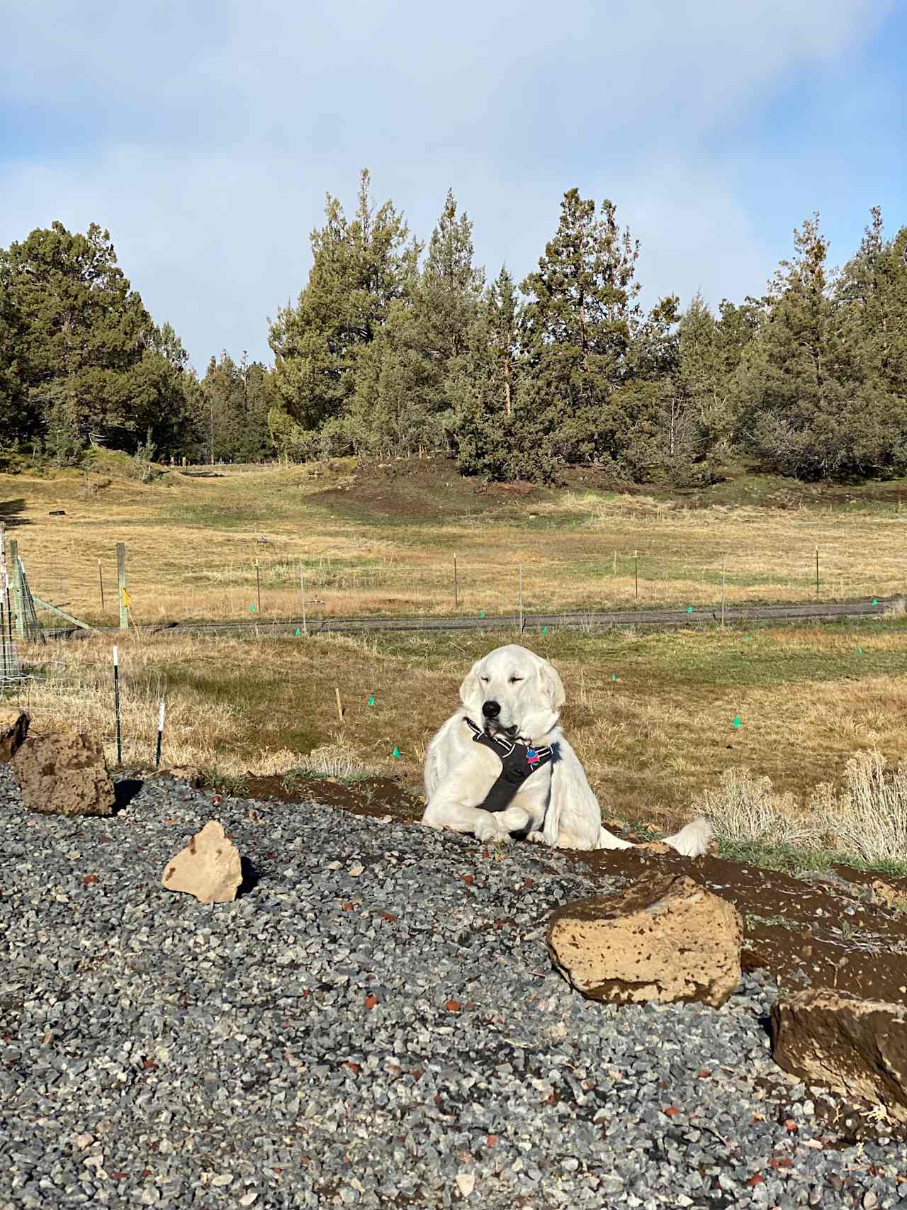 Golden Triangle RV Bend, Oregon