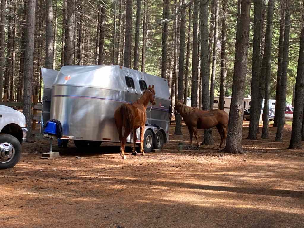 Silver Ridge Ranch & Campground