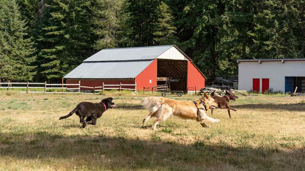 Silver Ridge Ranch & Campground