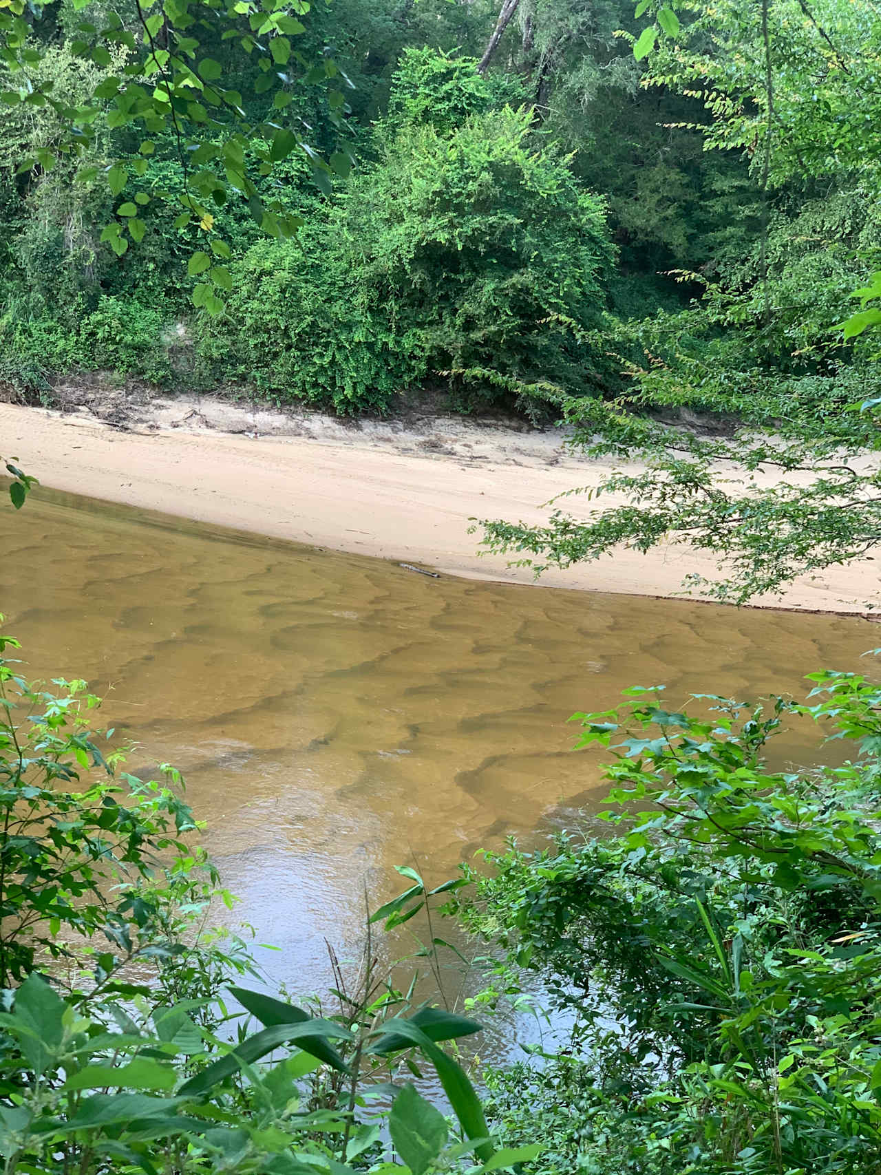 Choctawhatchee River from multiple sites