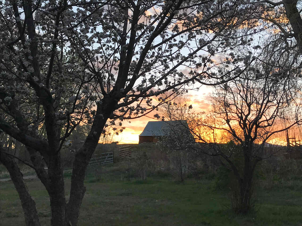 Mancos River Hideaway