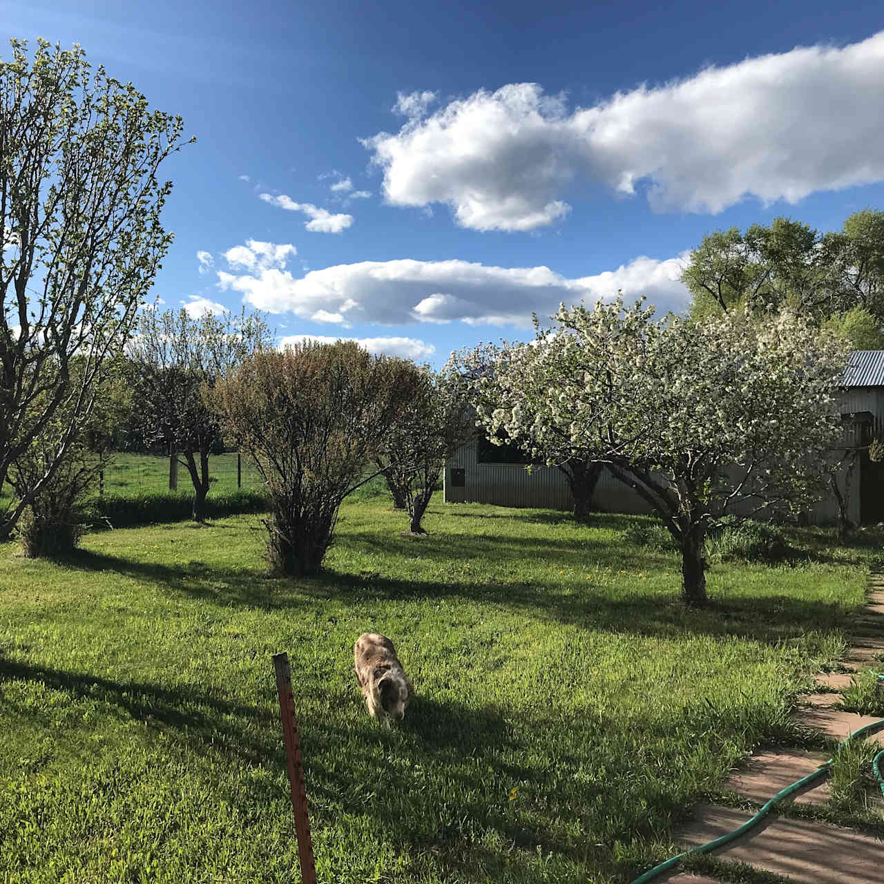 Mancos River Hideaway