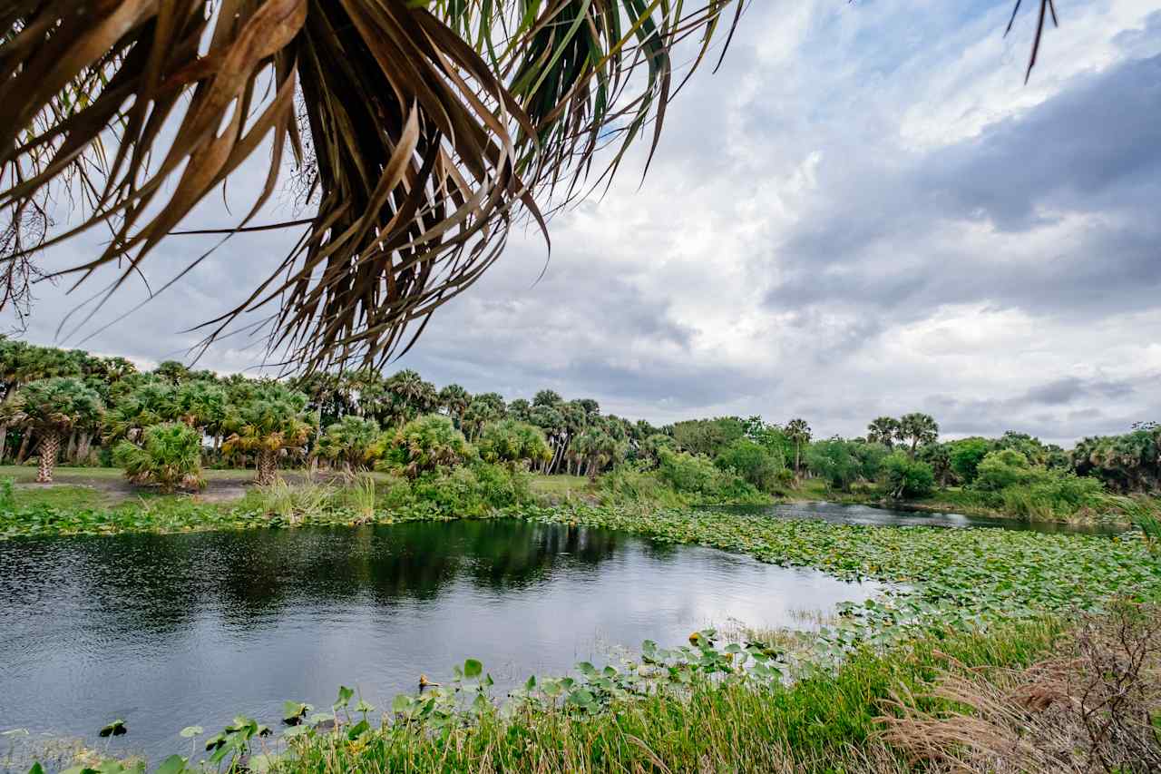 Another view of the lake