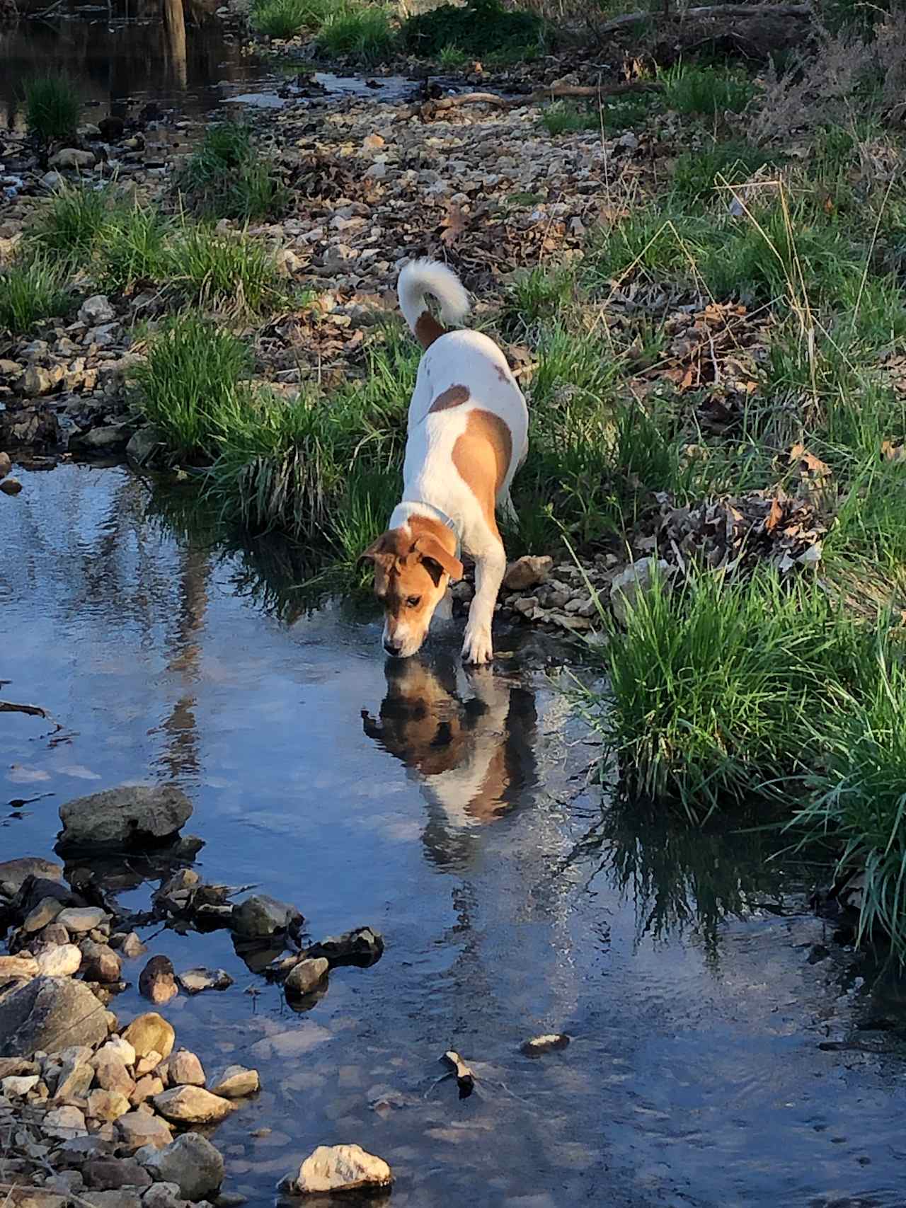 This water is sooo good.