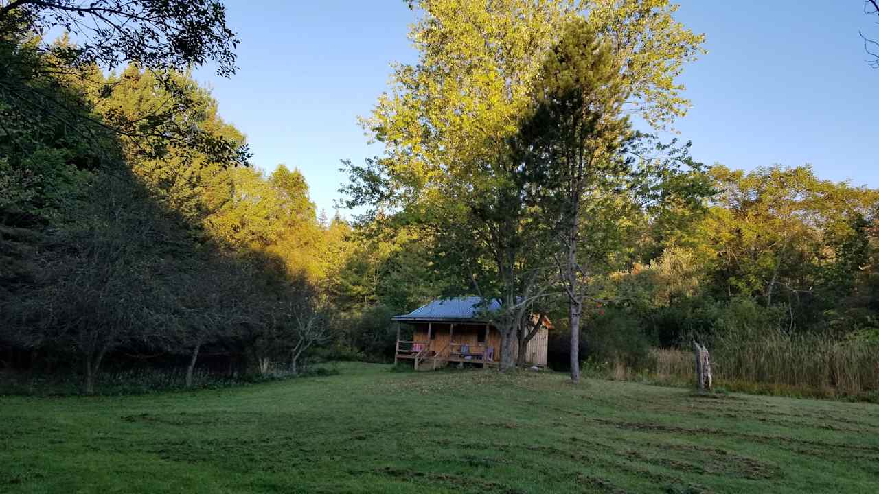 Cabin in full summer bloom!