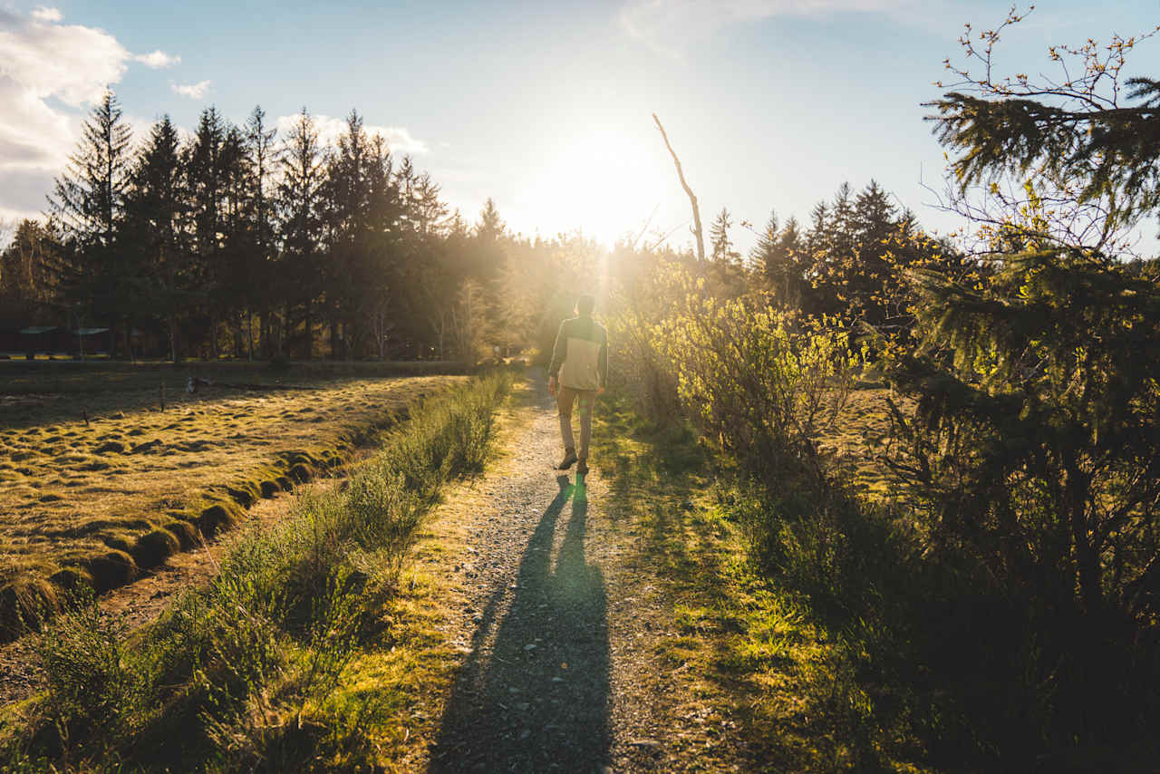 Nature trails run right from the property. 