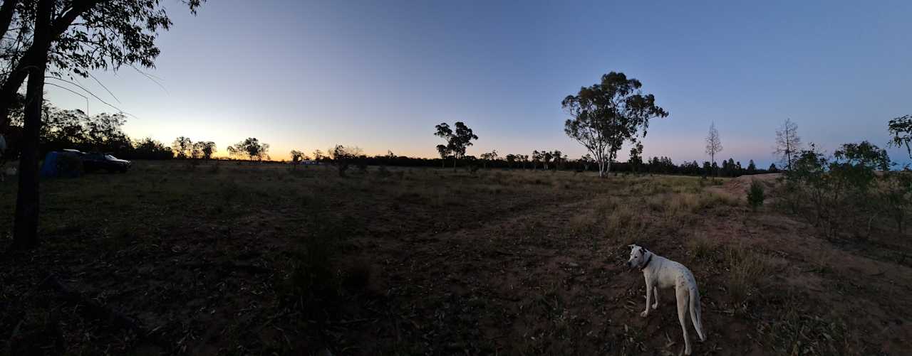 Kurrajong Bush Camping